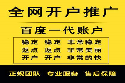 XX行业竞价广告的投放策略与效果分析