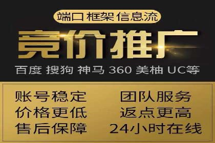 成功案例解读：SEM推广代运营策略